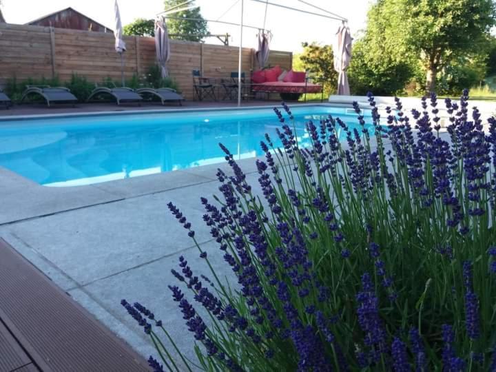 Chambres D Hotes ,Hotel ,Secret D'Une Nuit A Vicq Pres De Onnaing,Avec Piscine Buitenkant foto