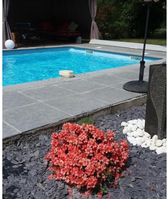 Chambres D Hotes ,Hotel ,Secret D'Une Nuit A Vicq Pres De Onnaing,Avec Piscine Buitenkant foto
