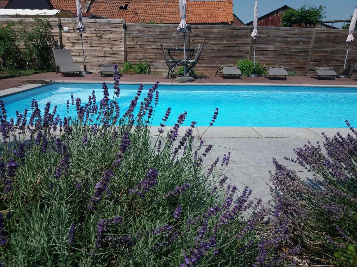 Chambres D Hotes ,Hotel ,Secret D'Une Nuit A Vicq Pres De Onnaing,Avec Piscine Buitenkant foto